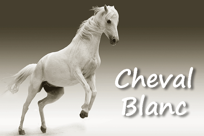 Le Cheval Blanc